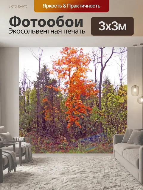 Фотообои Осенние деревья