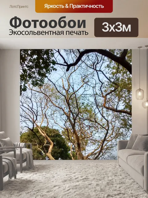 Фотообои Дерево
