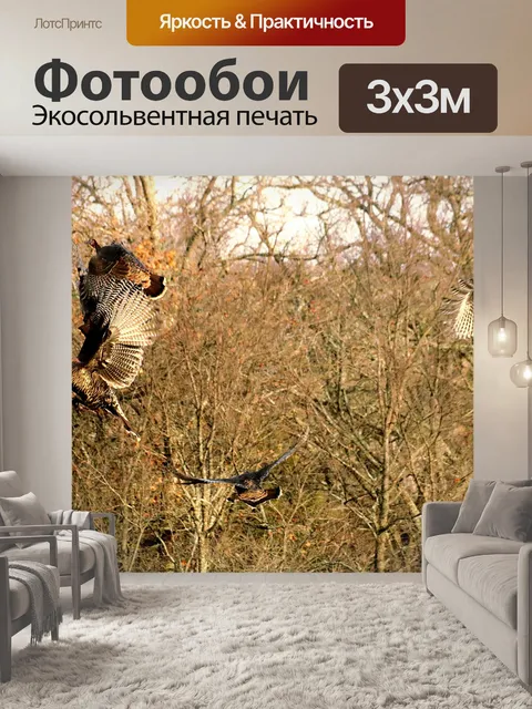 Фотообои Дикий взлет в Турции