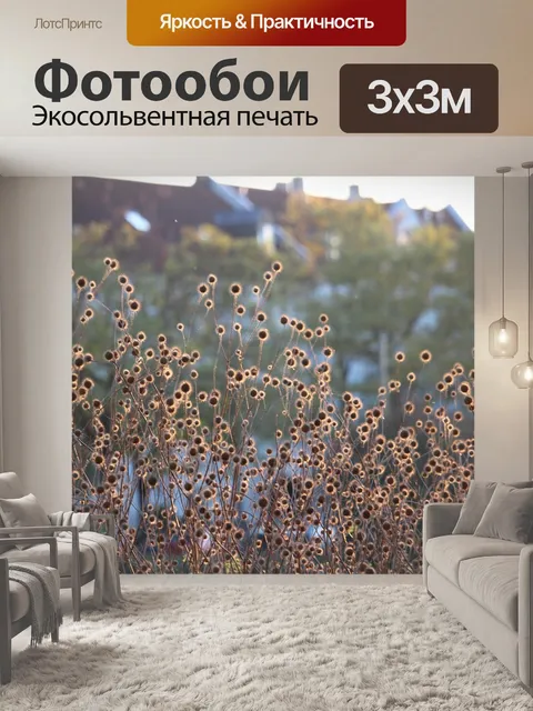 Фотообои Пригород