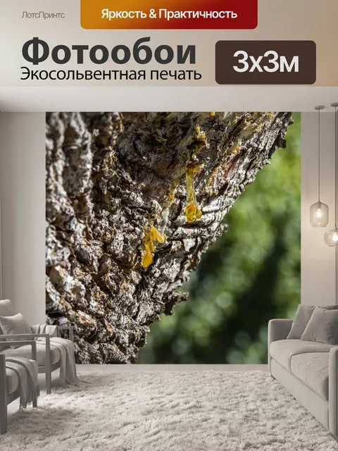 Фотообои Сок деревьев
