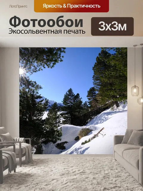 Фотообои Сосны лес