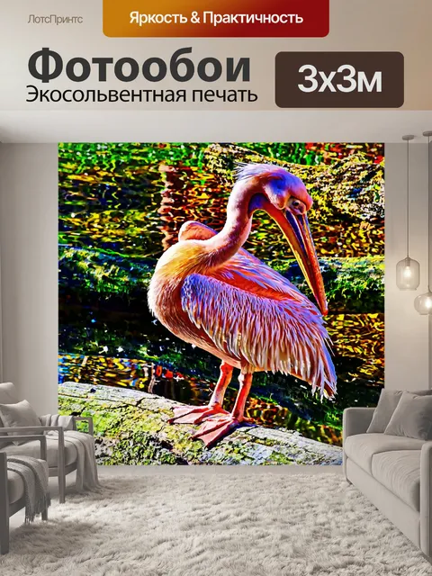 Фотообои Пеликан Живопись