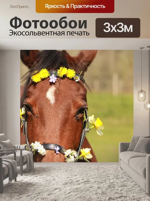 Фотообои Лошадь