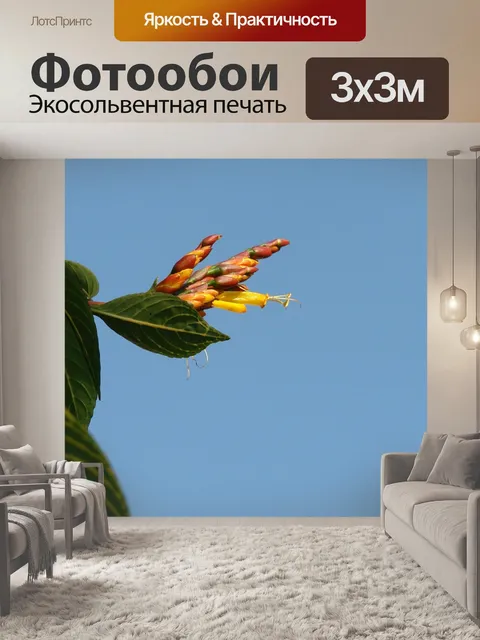 Фотообои Цветок