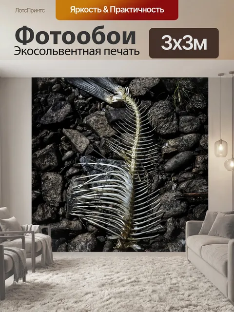 Фотообои Рыбы