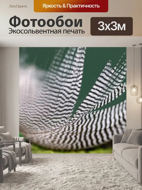 Фотообои Перо