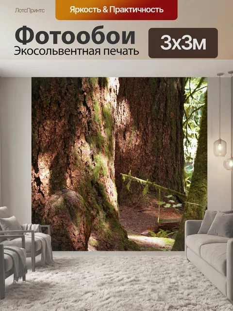 Фотообои Тропический лес