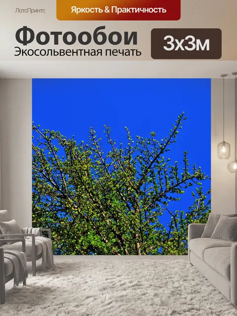 Фотообои зеленый куст с света на листьях