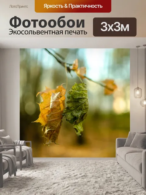Фотообои Осень