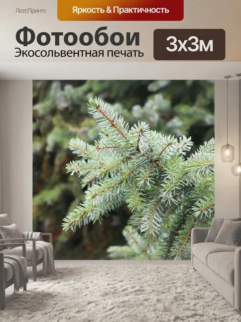Фотообои Ель