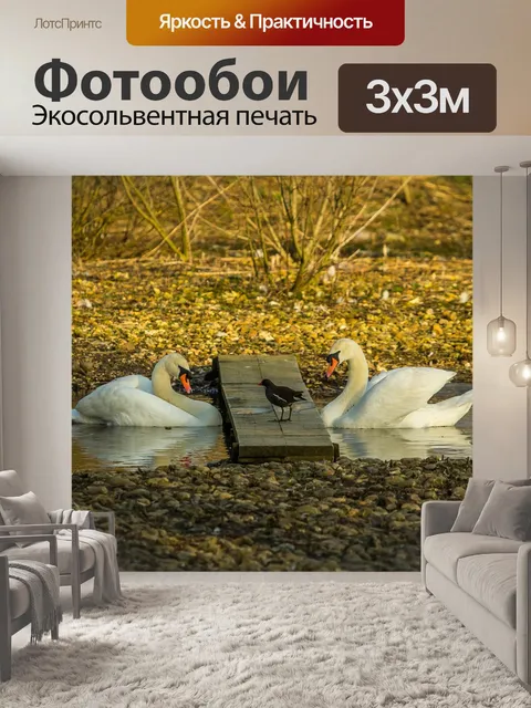 Фотообои Лебеди