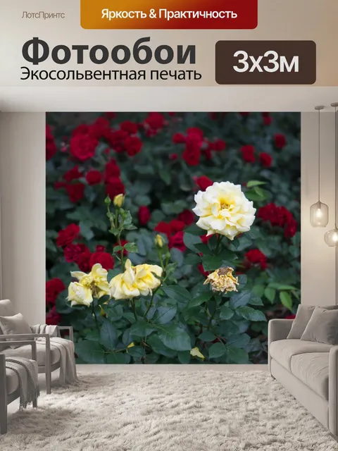 Фотообои Роза