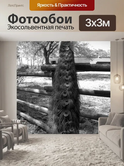 Фотообои Павлин
