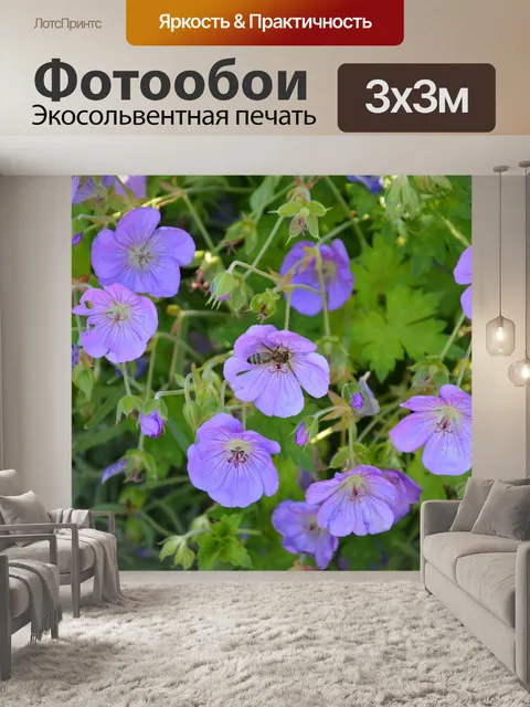 Фотообои Цветы