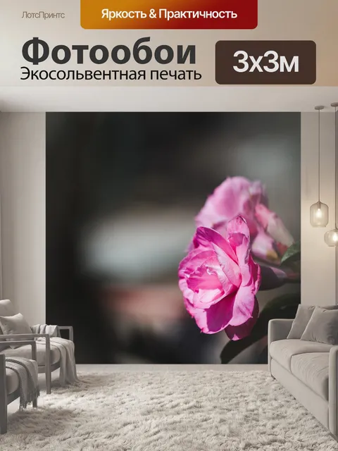 Фотообои Адениум цветок