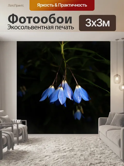 Фотообои Цветы