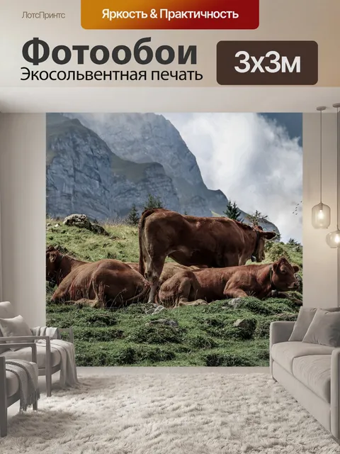 Фотообои Коровы