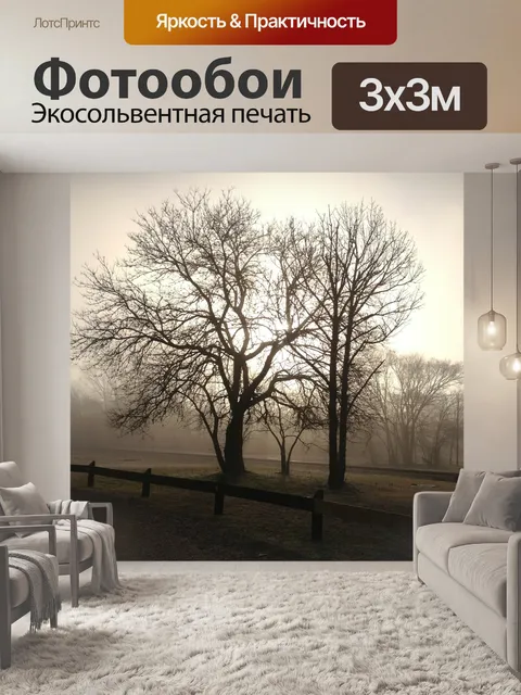 Фотообои Туманный