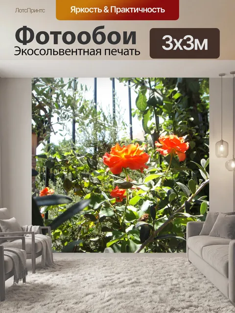 Фотообои Цветы в саду