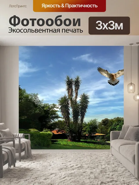 Фотообои Птиц