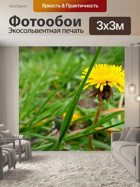 Фотообои Осот огородный