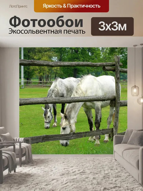 Фотообои Лошадь