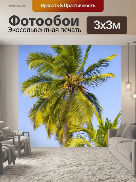 Фотообои Тропические пальмы