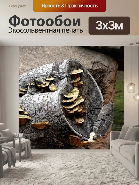 Фотообои Деревья