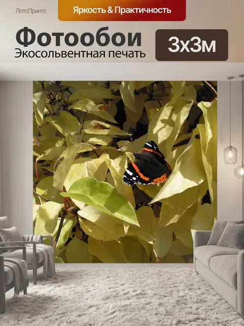Фотообои Осень