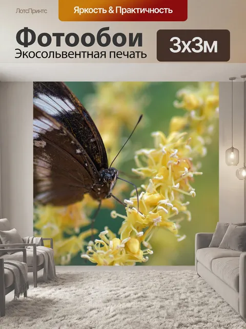 Фотообои Бабочка