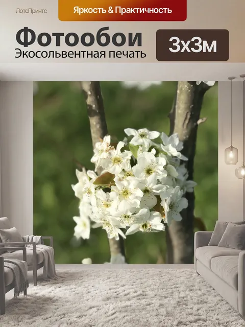 Фотообои Дерево