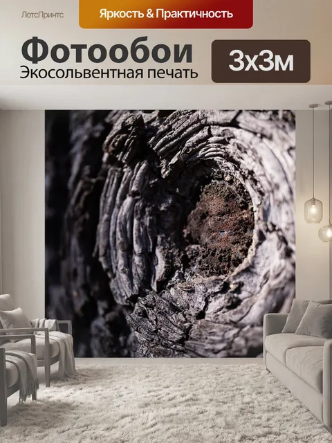 Фотообои Лес