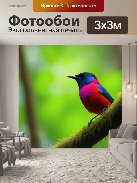 Фотообои долина в лесу, где поют редкие виды птиц