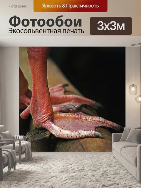 Фотообои перепончатые лапки гуся
