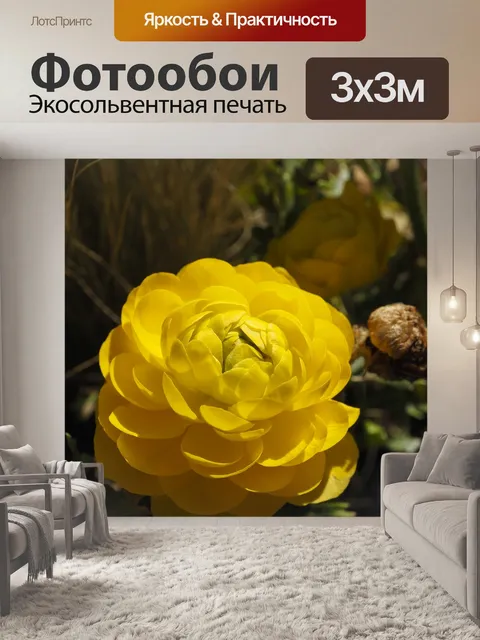 Фотообои Цветы