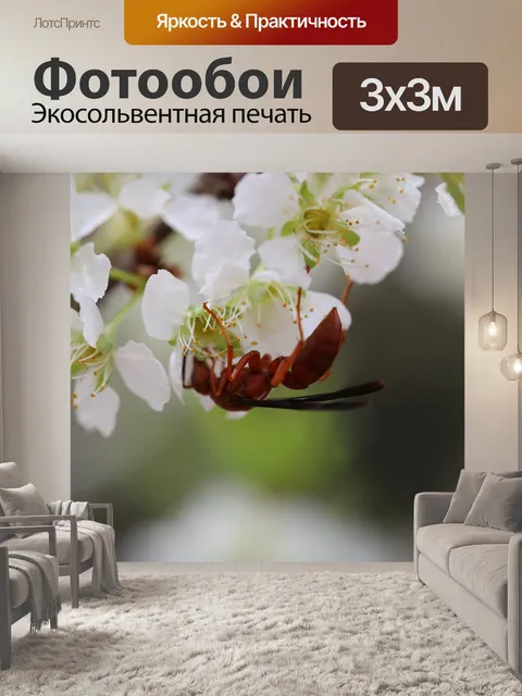 Фотообои Сливы