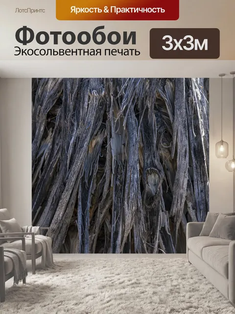Фотообои мертвые пальмовые листья