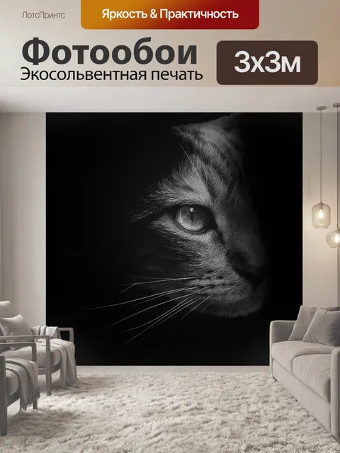 Фотообои Кошка