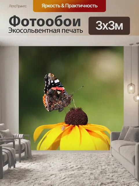 Фотообои Бабочка
