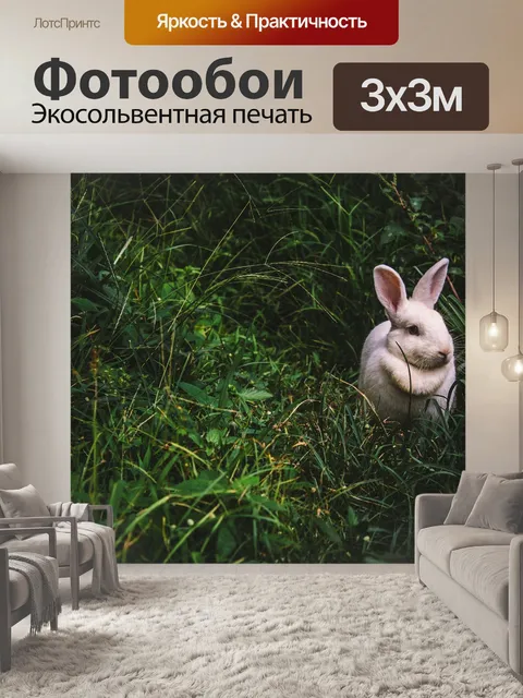 Фотообои Кролик