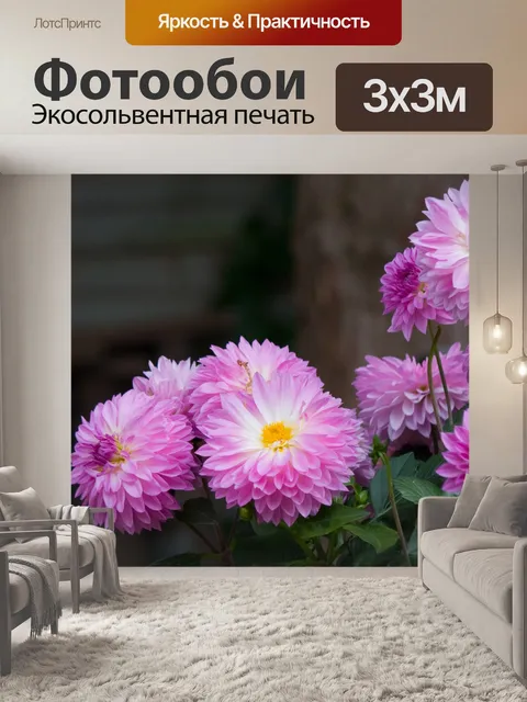 Фотообои Цветок, Далия