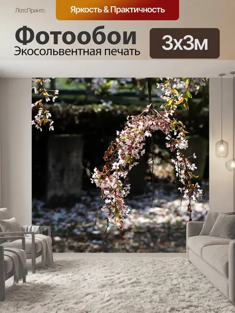 Фотообои Кладбище