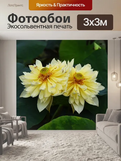 Фотообои Золотой лотос