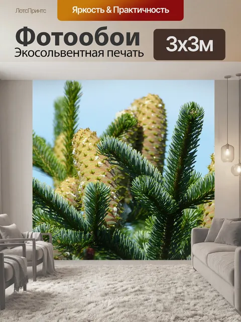 Фотообои Ели