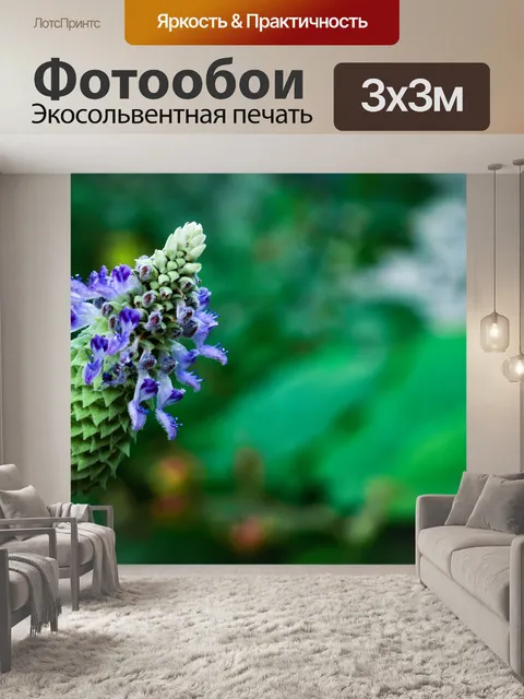 Фотообои Сад