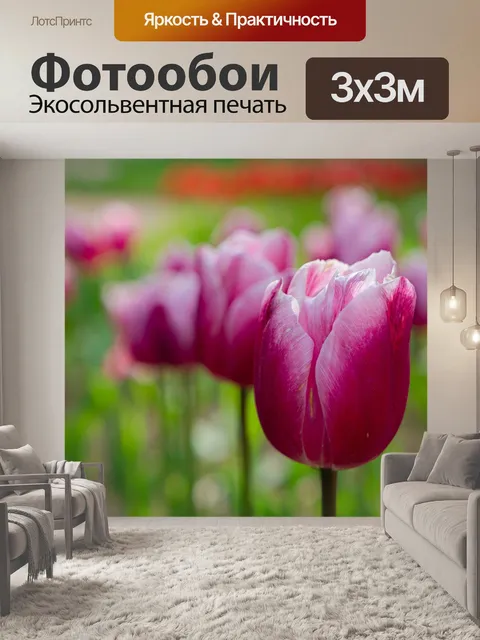 Фотообои Тюльпаны