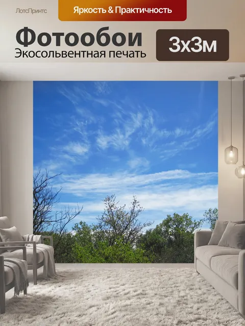Фотообои ветки деревьев с голубым небом