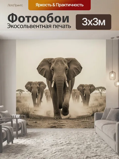 300 × 300 см · Экосольвентная печать
