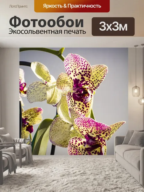 Фотообои Цветы
